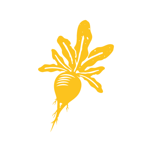 Pictogramme Betterave — jaune