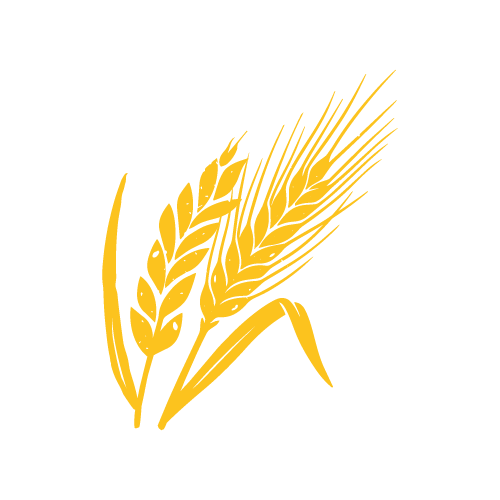 Pictogramme Céréales — jaune