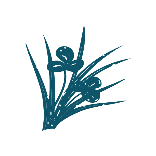 Pictogramme Fourragères — bleu