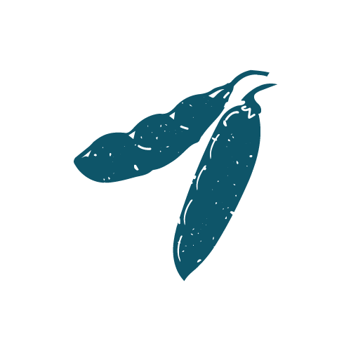 Pictogramme Protéagineux — bleu