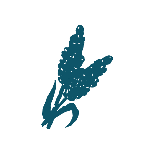 Pictogramme Sorgho — bleu