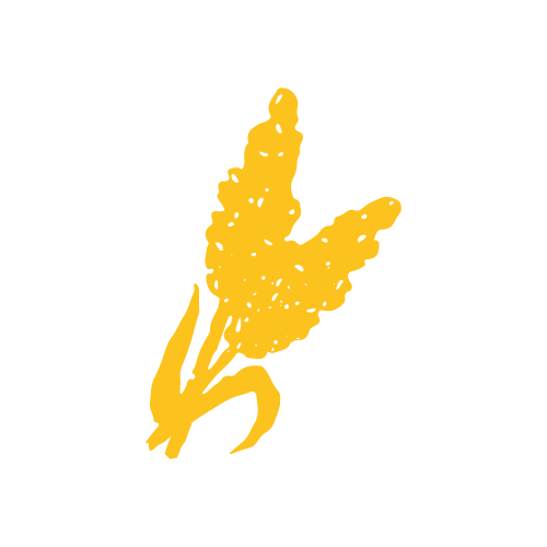 Pictogramme Sorgho — jaune